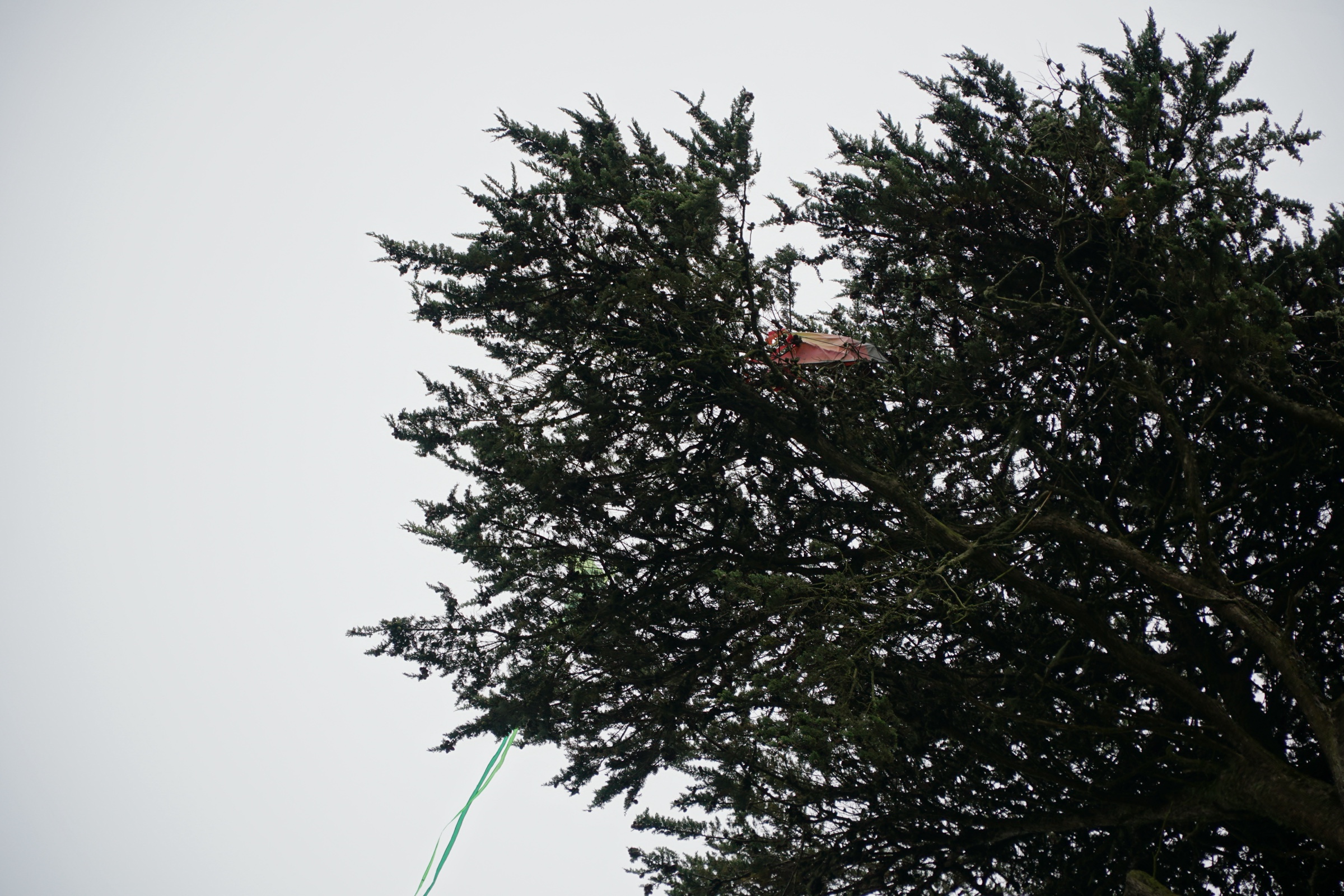 Hippie Hill photograph