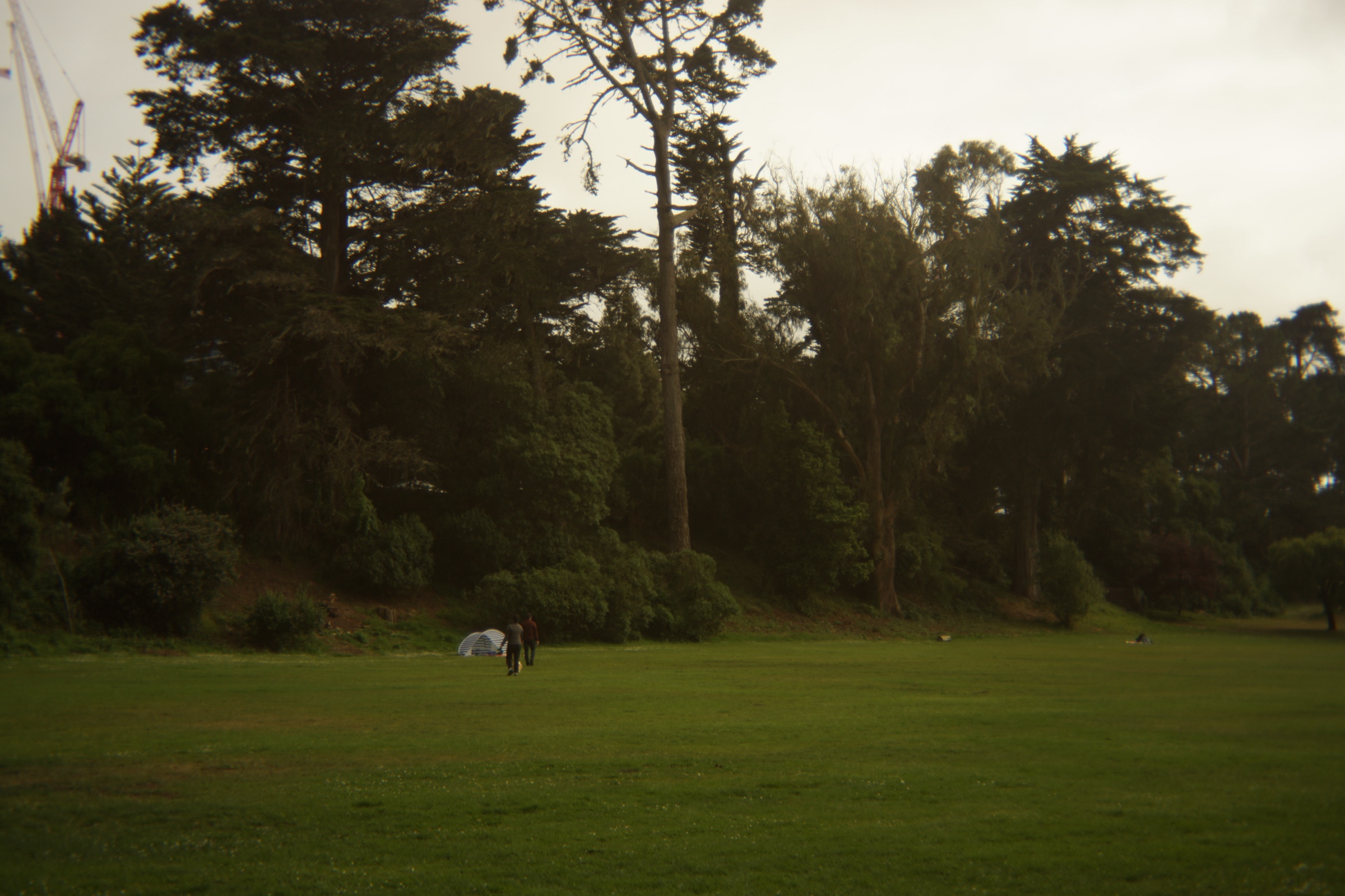 Hippie Hill photograph