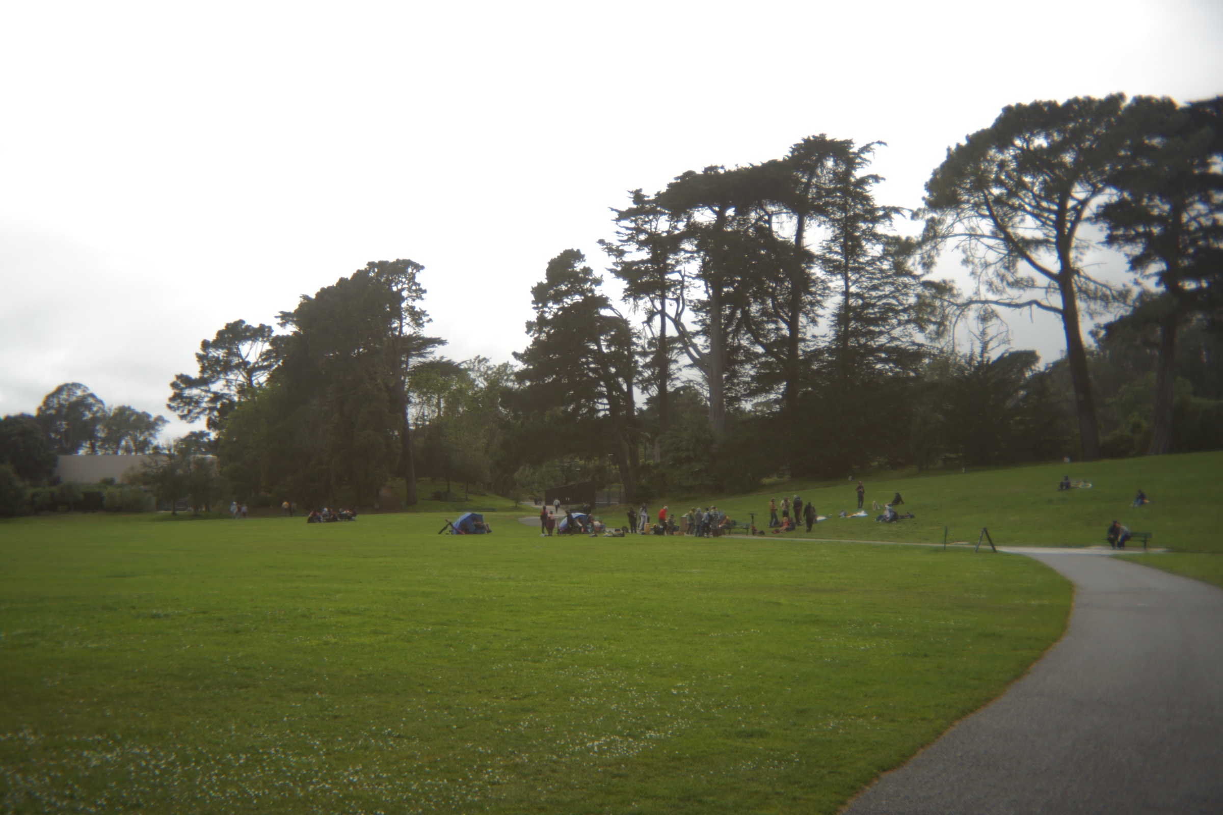 Second Hippie Hill photograph