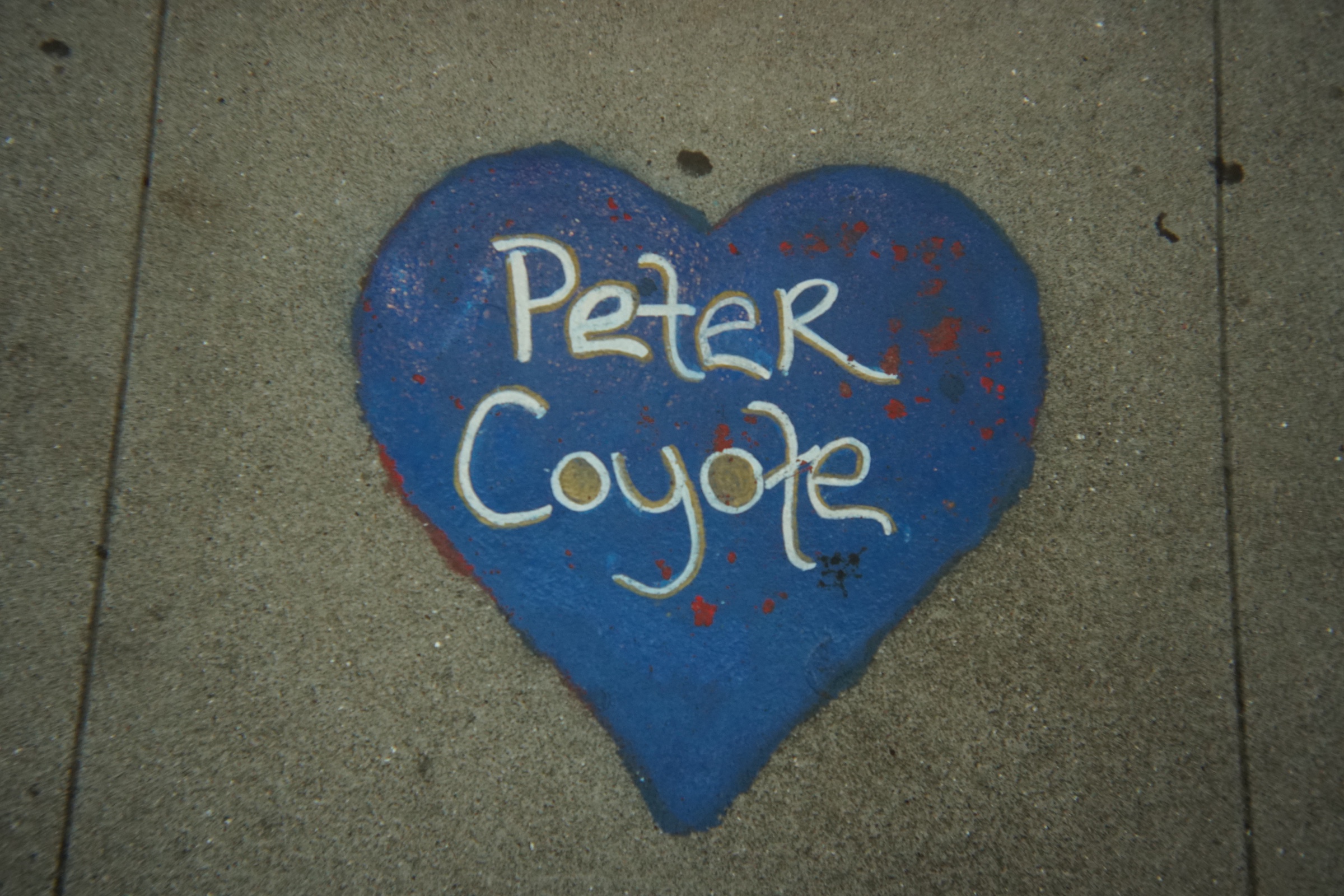 Love on Haight carousel photograph 56