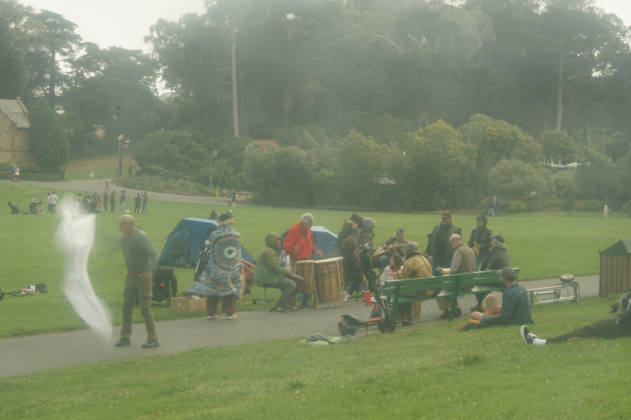 Hippie Hill photograph