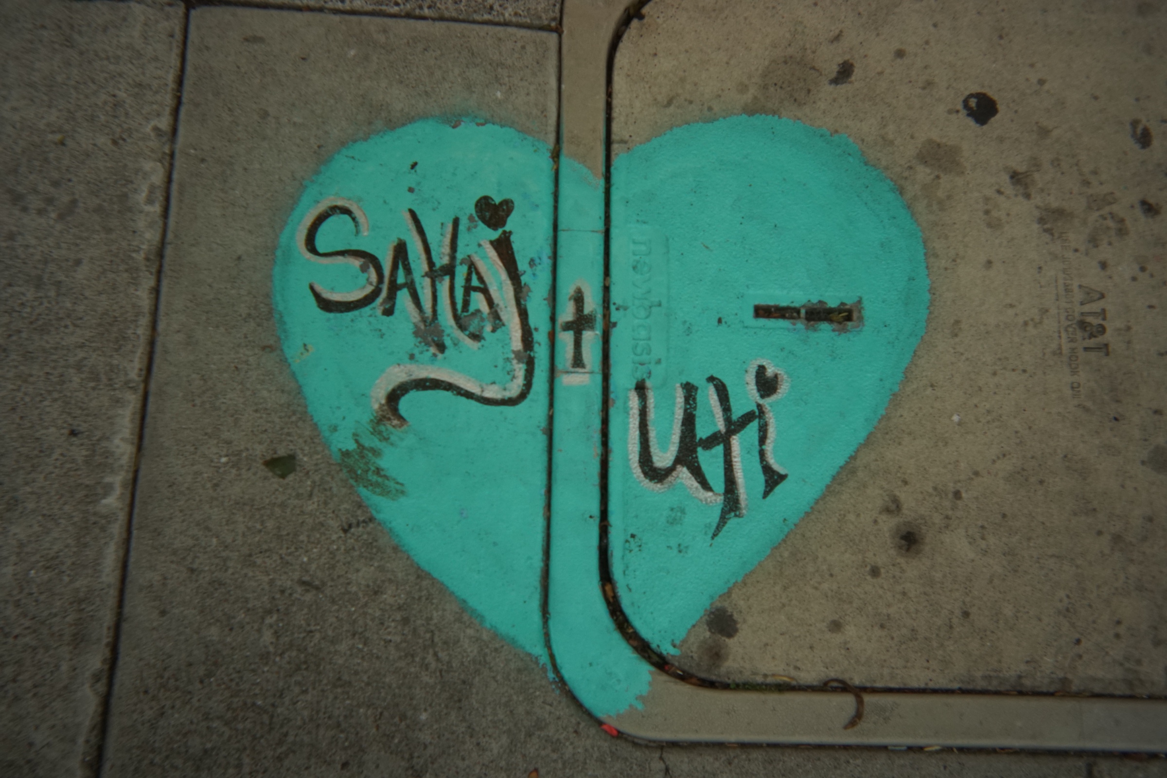 Love on Haight carousel photograph 66