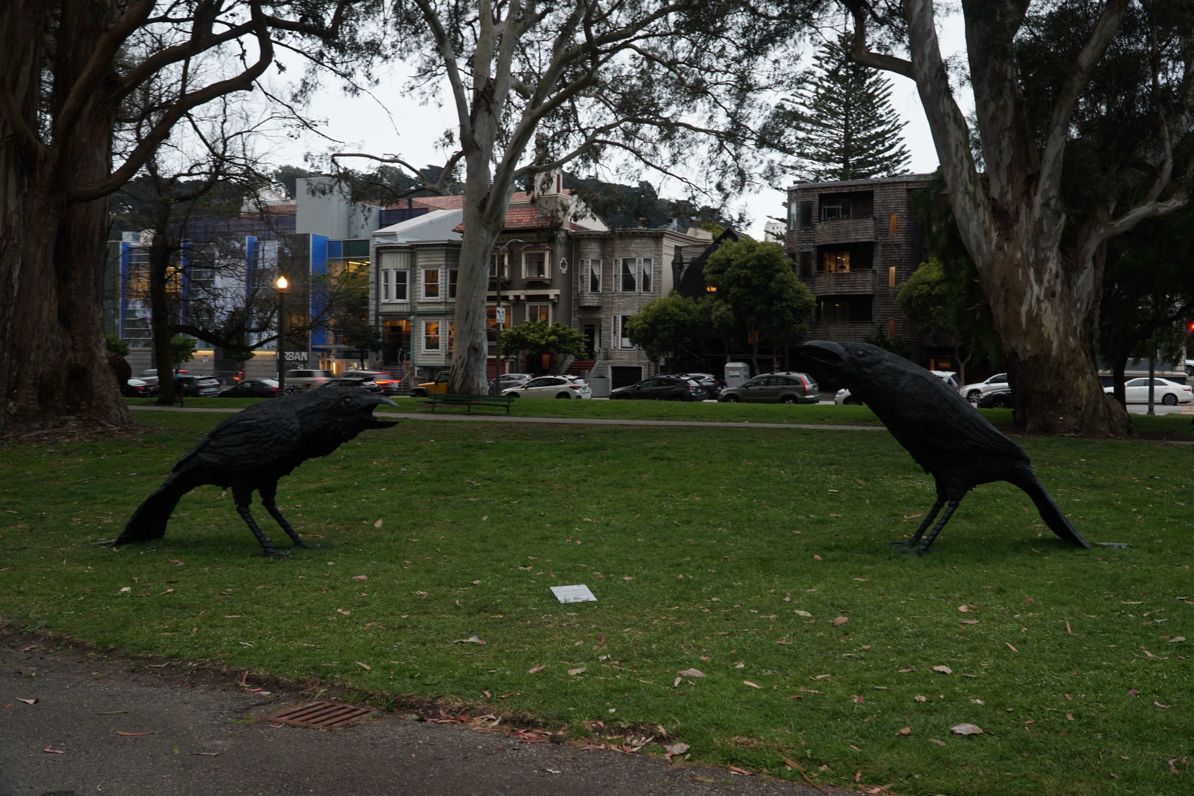 Hippie Hill photograph