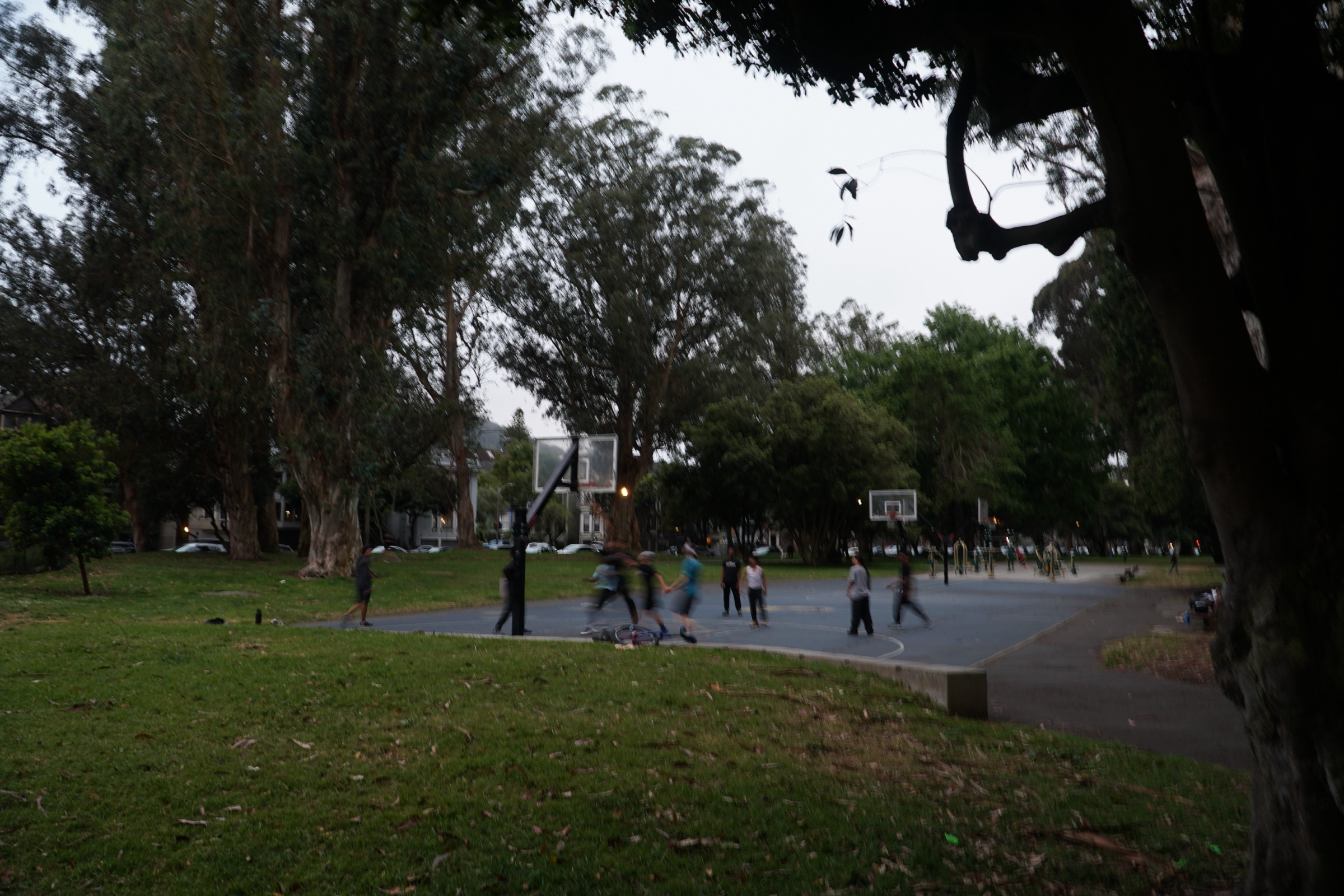 Hippie Hill photograph