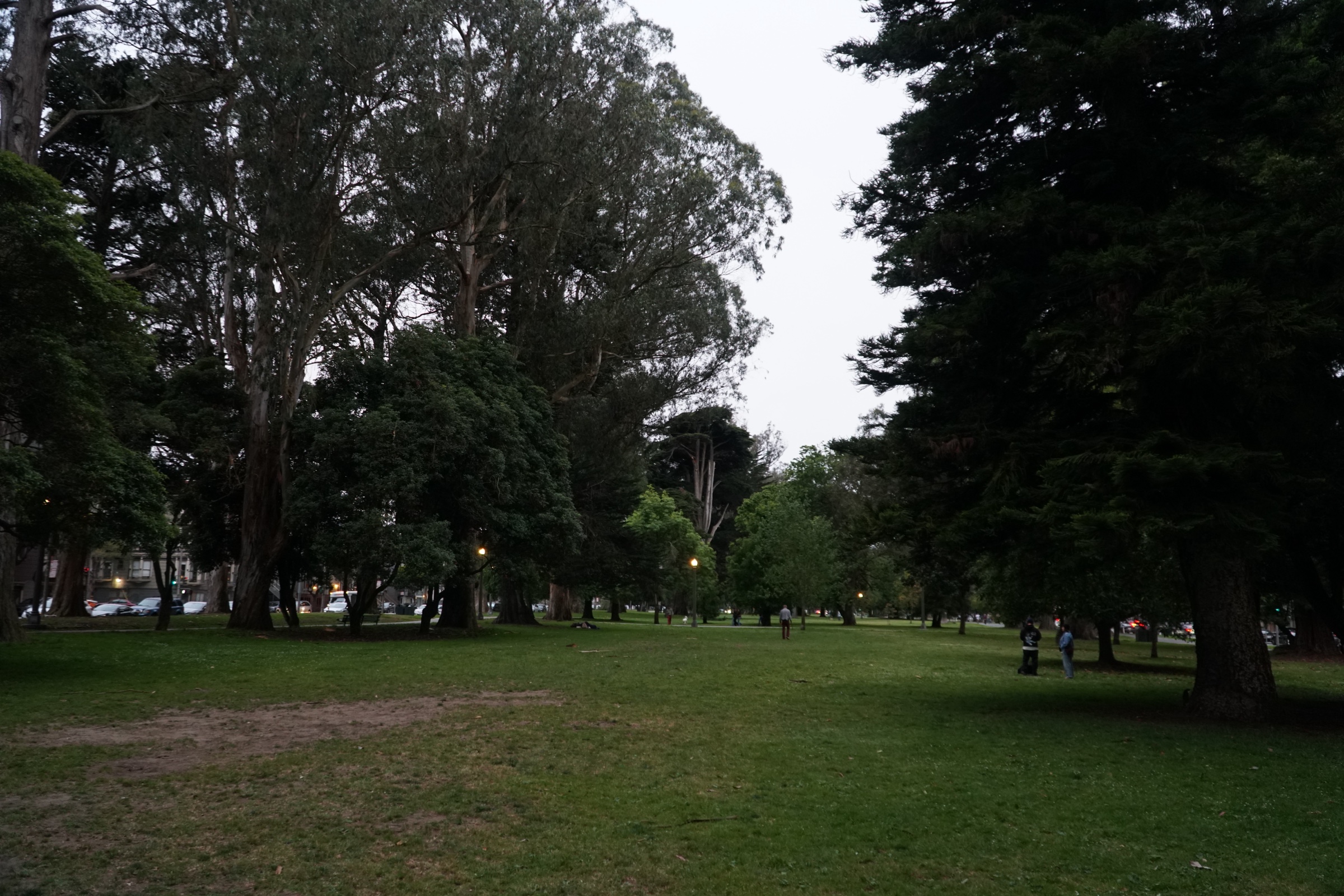 Hippie Hill photograph