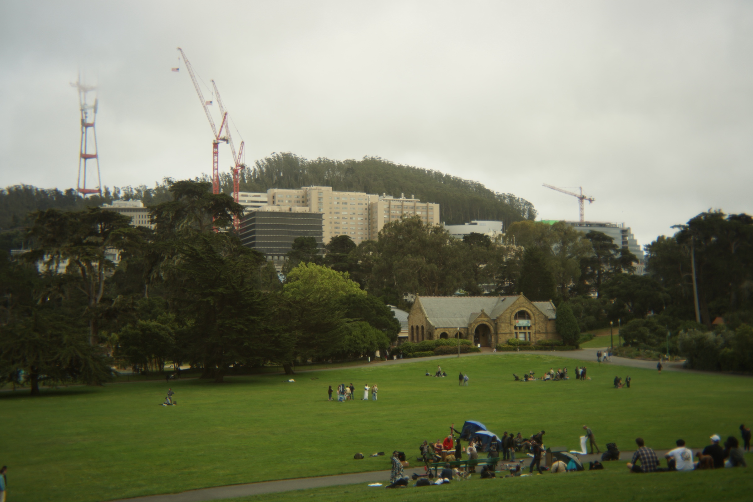 Hippie Hill photograph